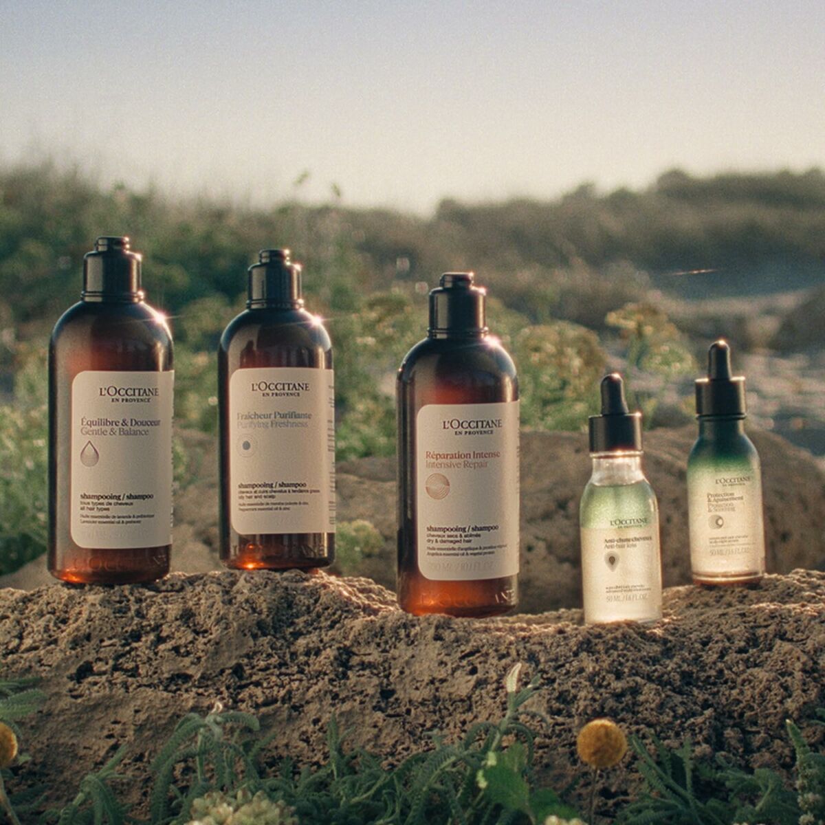 L'Occitane product range with shampoo and serums displayed on a rocky surface in a natural setting.