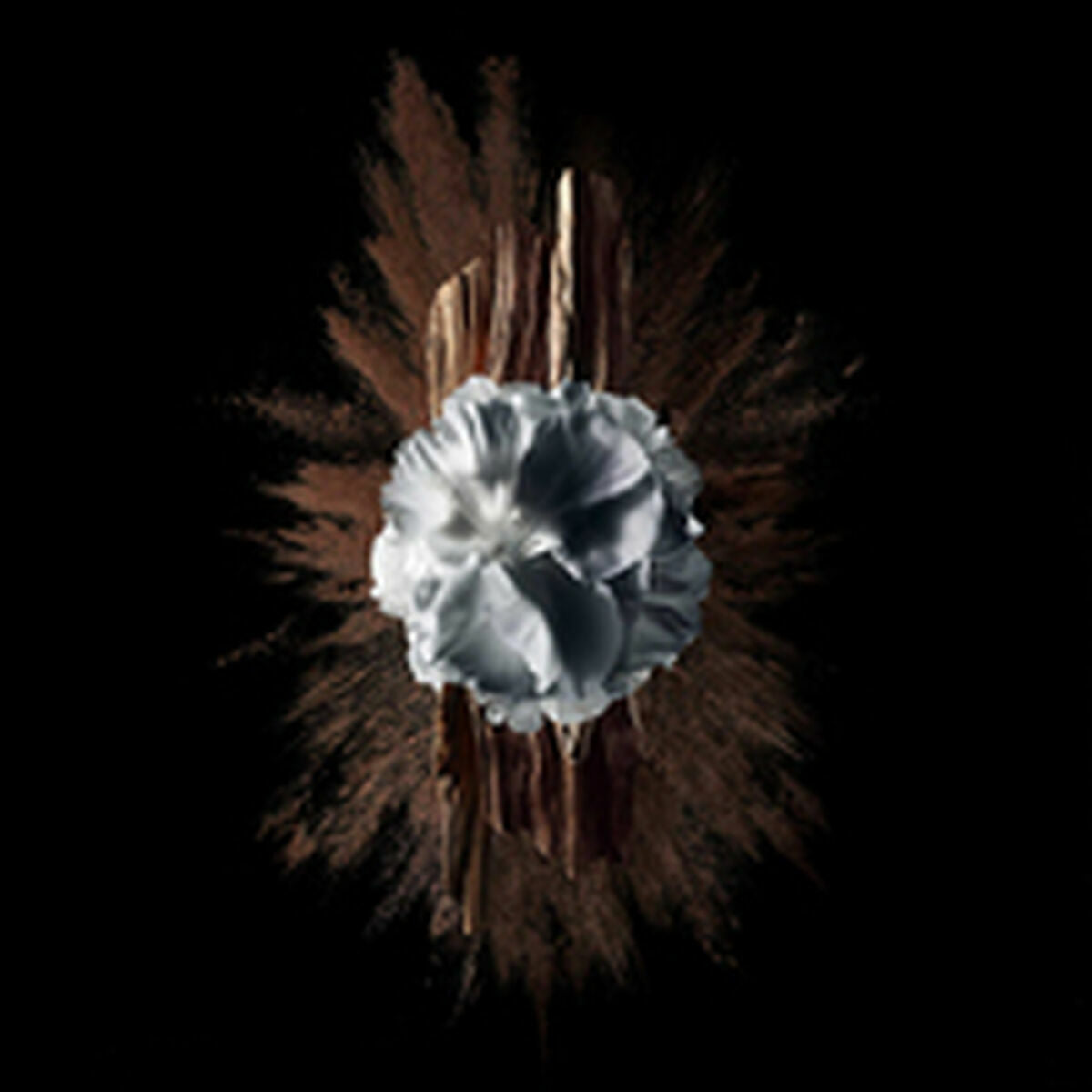 V5HBA43BAF822A621889D919D3E077064D9R5397791P6