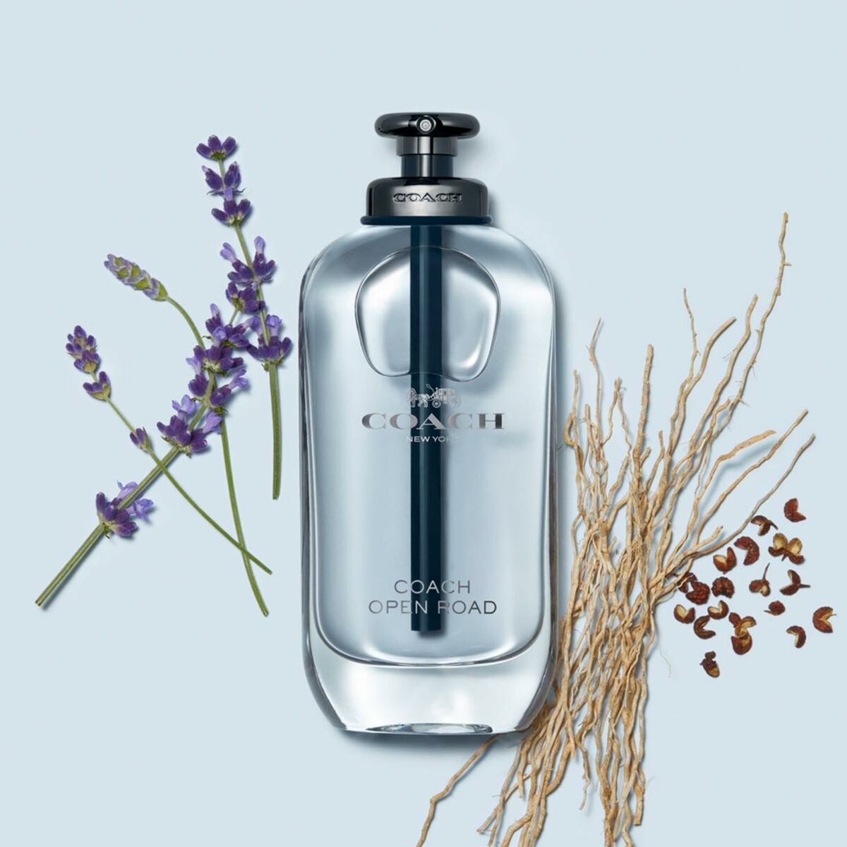 V7HCC344476B6831B1AF1FEDC0D277F5A1CR3971027P3