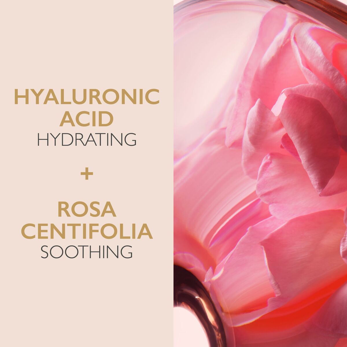 V4H139459385DAE27B55E09A73A22EED401R6241965P6