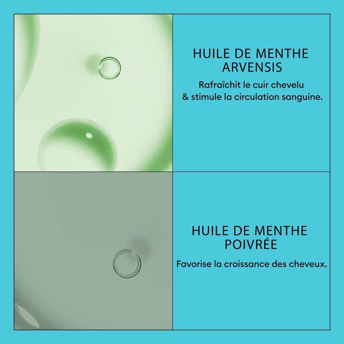 V2H01C70D53BE66C32C9A0B15854B21BC6BR7509603P4