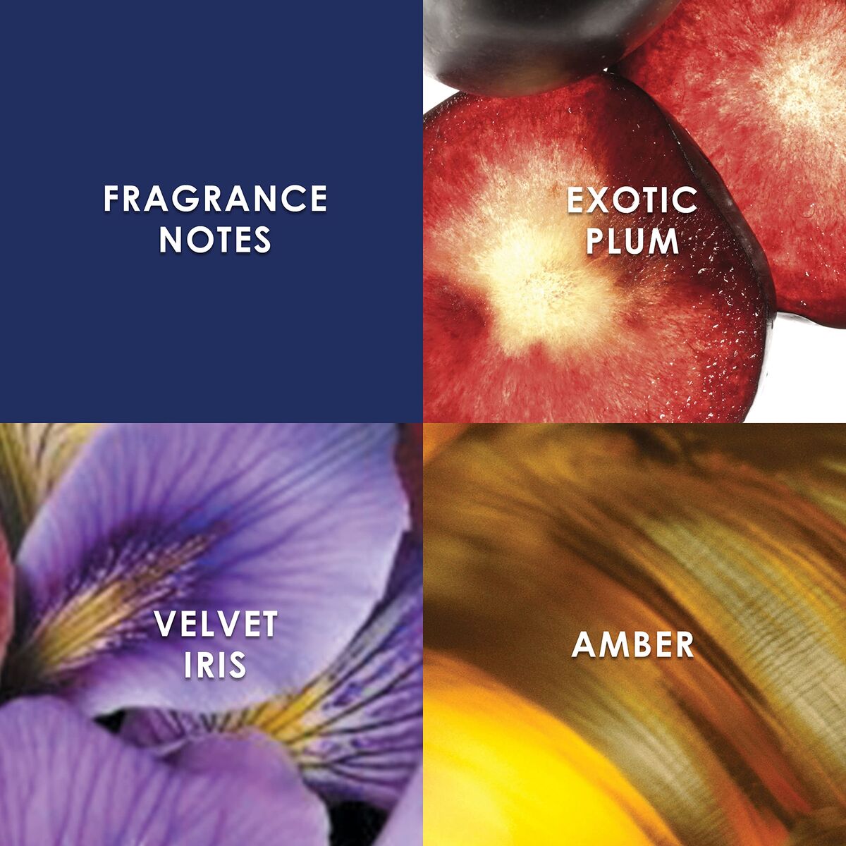 V2HCF42540B07E45912ADDA90099B24DE6AR7526078P4