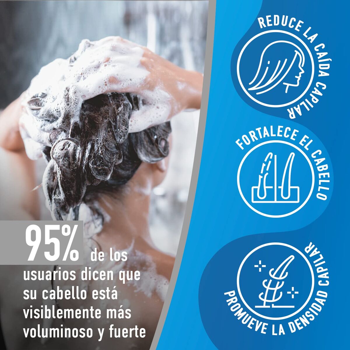 V2HC9155FD197A4E455314C8D3877C6115DR7545026P5